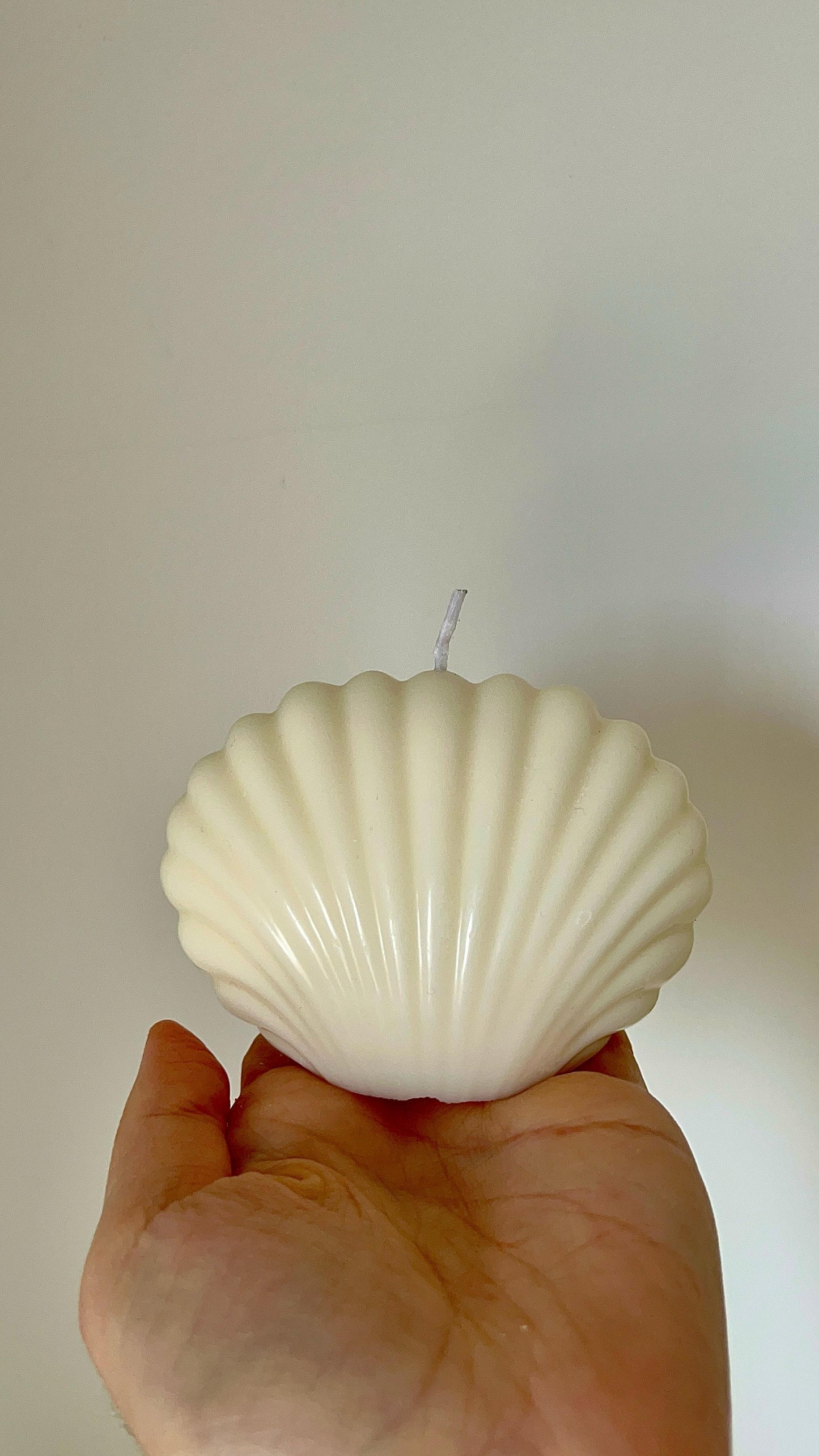 Vela concha de mar sostenida en la mano, mostrando su forma simétrica y detalles ondulados inspirados en el mar