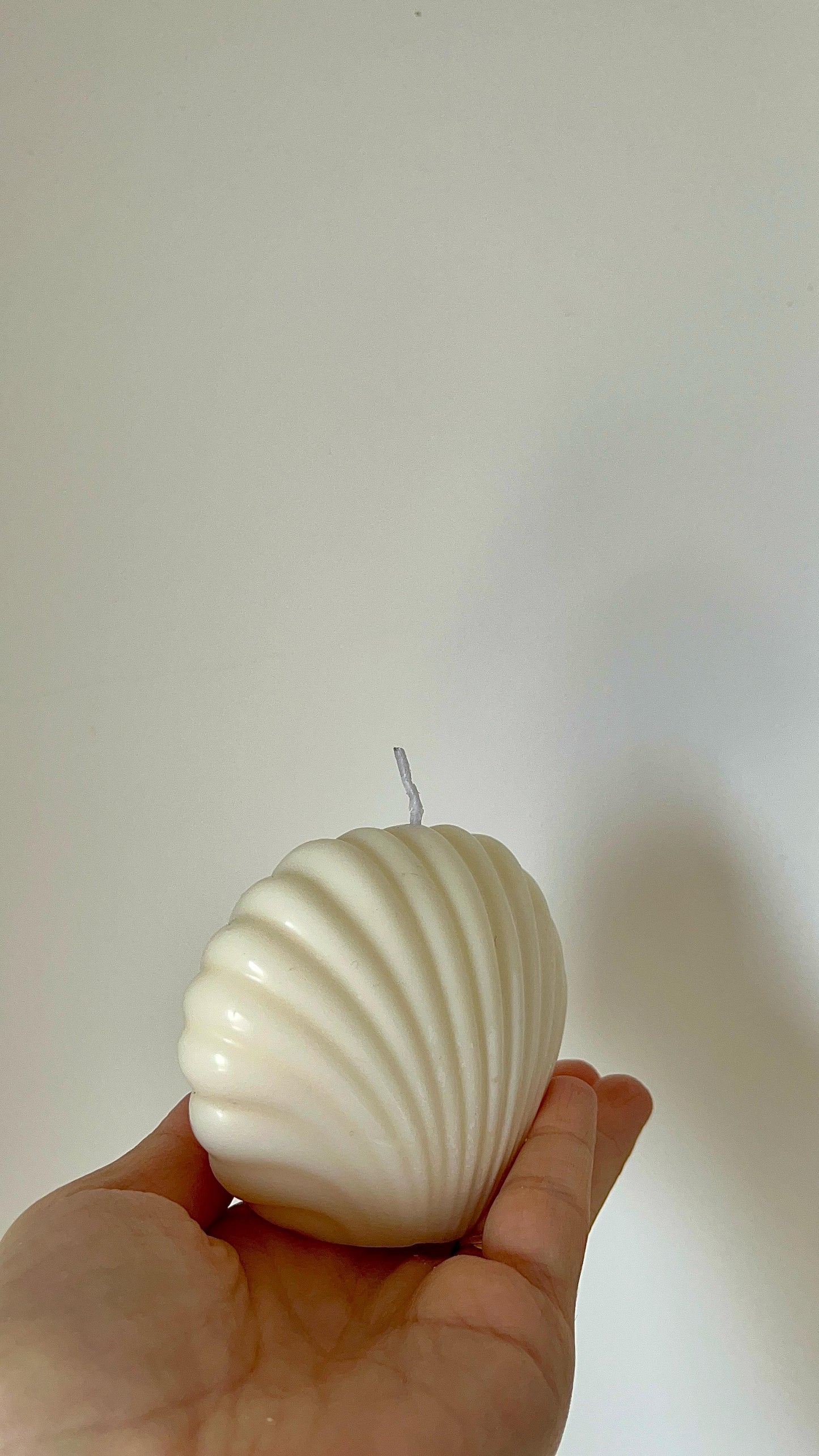 Vela con forma de concha marina sostenida en ángulo, resaltando las curvas delicadas de su diseño artesanal