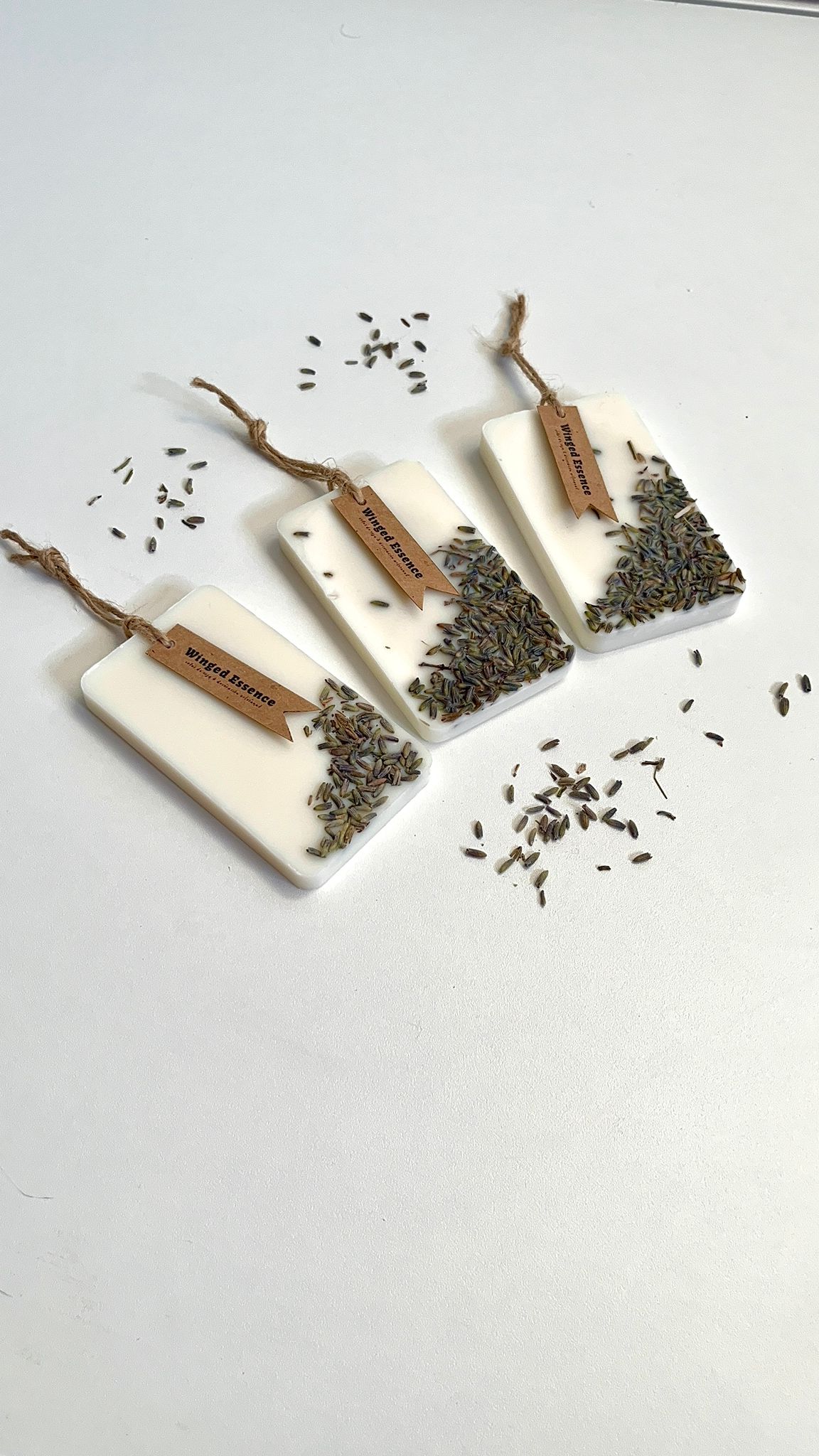 Lavanda