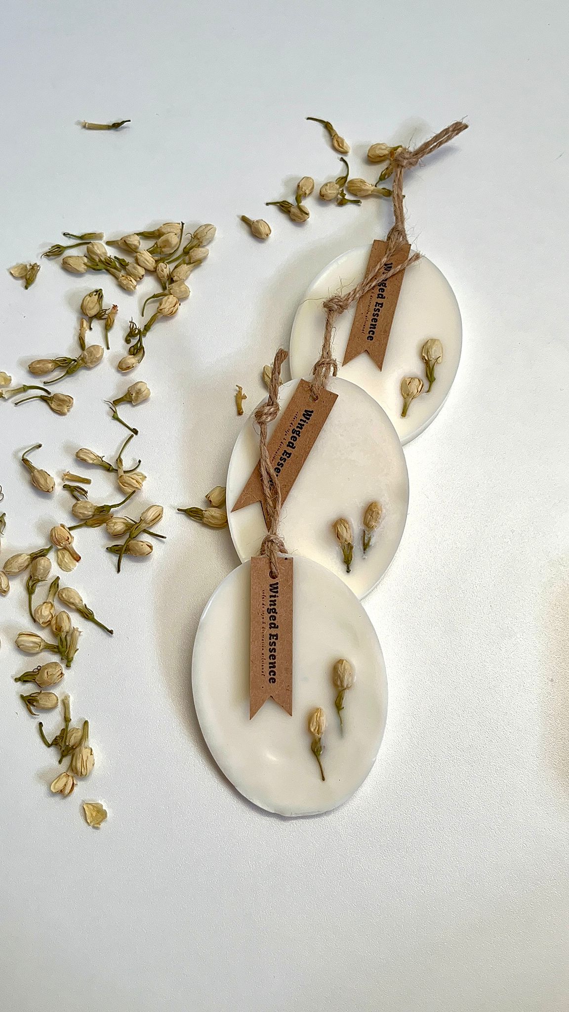 Gardenia y Aloe Vera